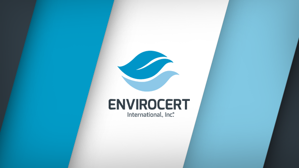 PDH Annual Requirements Extended